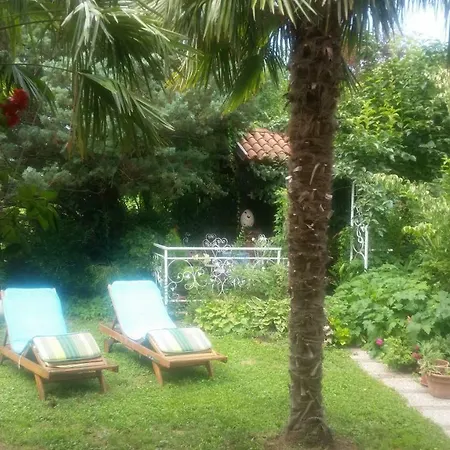 Slavi Vipava