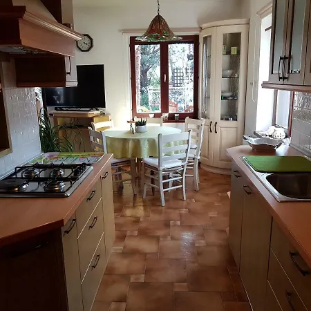 Slavi * ויפאבה