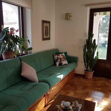 Slavi * Vipava